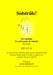 Solstråle Boganmeldelse: Voldsramt Et terapiforløb pr. e-mail. Redskaber og indlæring i hvordan volden takles. 