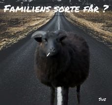 Selvkrænkelse — Egenomsorg — Vrede