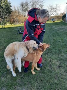 Anna (min hund) er blevet parat — hvalpe til sommer