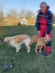 Anna (min hund) er blevet parat — hvalpe til sommer