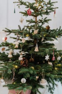 God jul / Glædelig jul og Godt nytår / Glædeligt nytår